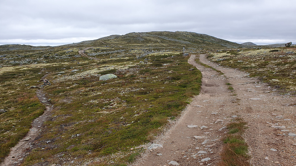 Vi har nådd slepen som går helt til Solheimstulen. Den passerer ca 70 meter fra toppen av Vegarhovda (1370), som er høyest i bakgrunnen.