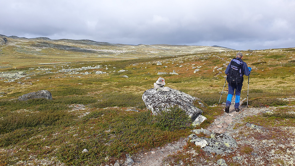 Faktisk noen solgløtt da vi begynte å nærme oss Elsjåen i Elsjådalen. Toppen av Langebueggi (1407) ses ikke her, men ligger et stykke innpå fjellet ca midt i bildet.