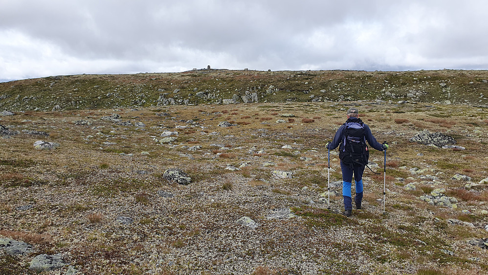 Toppvarden på Langebueggi (1407) begynner å bli godt synlig nesten midt i bildet.