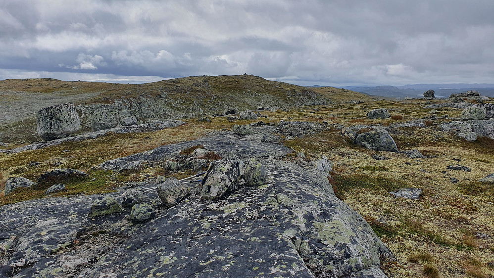 Jeg står på Langebueggi Nord (1394) og ser tilbake mot høyeste Langebueggi (1407), hvor toppvarden ses midt i bildet.