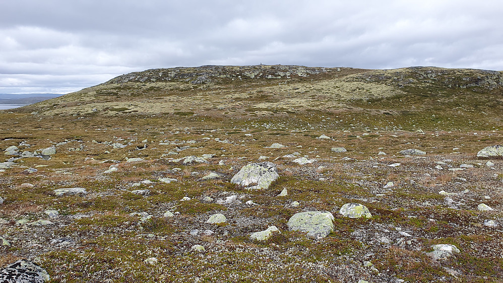 Tilbakeblikk mot toppen av Elsjåhovda (1387) like etter at vi hadde begynt på returen til Lågaros. Toppvarden ses midt i bildet.