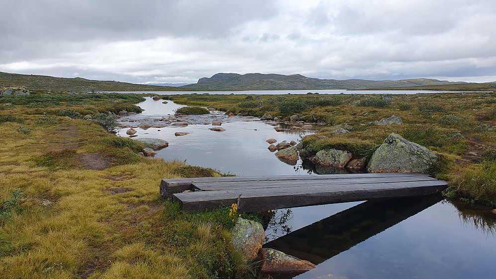 Kloppen over bekken som renner ut i den nordøstre delen av Gjuvsjåen, som ses litt lengre bak. Fjellet i bakgrunnen er Gryslehovda (1377).