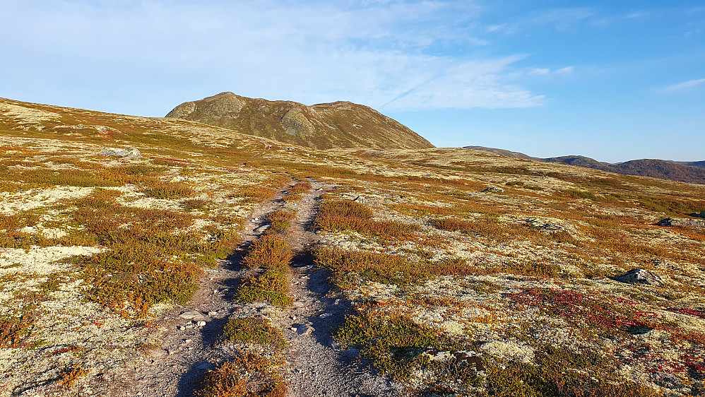 Disse hjulsporene fulgte jeg mye av turen, og da mest på vei til Johovda, som her har kommet nærmere i bakgrunnen.
