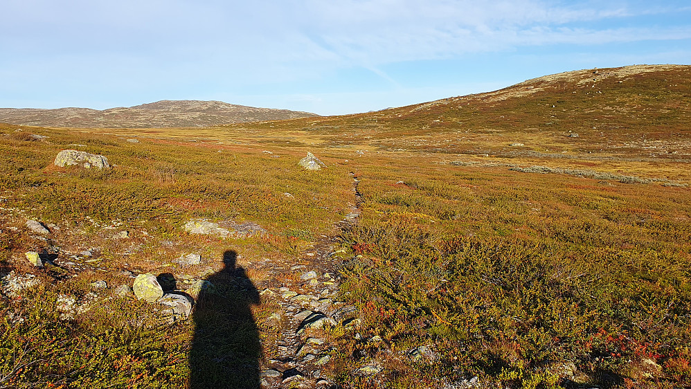 Denne stien fulgte jeg et lite stykke vestover før jeg gikk ut i terrenget for å gå opp mot turens første topp, Sør for Johovda (1246). Den ser man litt av helt til høyre.