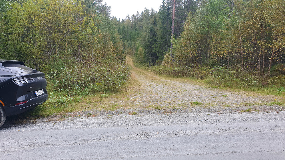 Denne lite brukte grusveien som forsvinner innover i skogen fulgte jeg helt i starten.