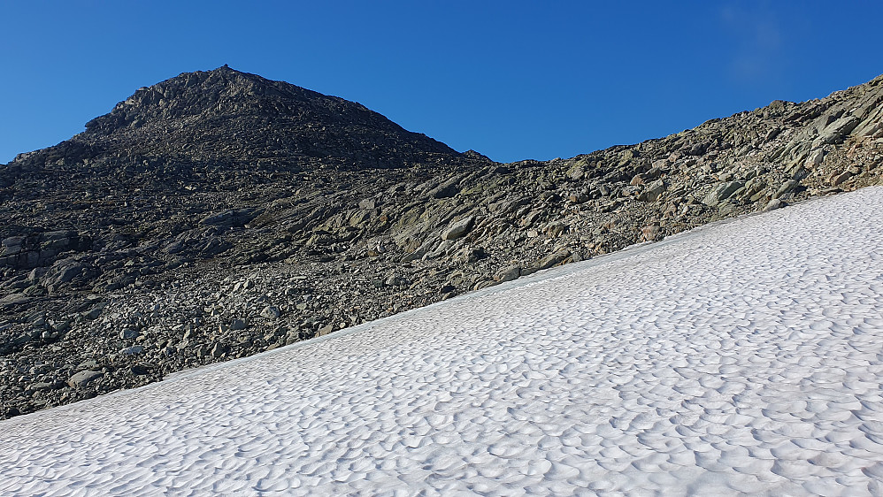 Det var ikke mange snøfonner som måtte krysses i løpet av turen, men her hvor Søre Urevassnuten (1754) nærmer seg, lå en av de største jeg gikk over. 