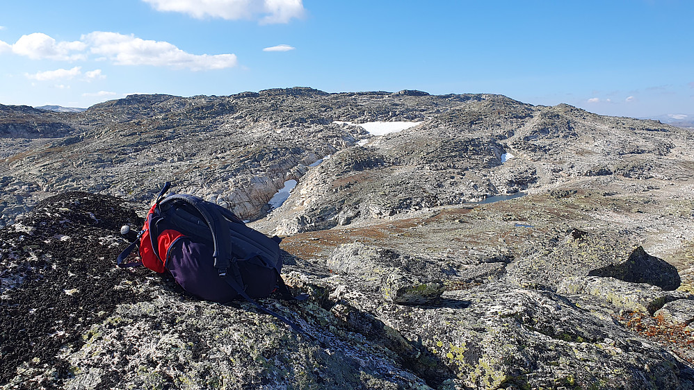 På toppen av kollen Nord for Tyrvlesvatnet (1621). Bakgrunnen domineres av Langvasseggi (1669), hvor toppryggen har flere jevnhøye toppunkt.