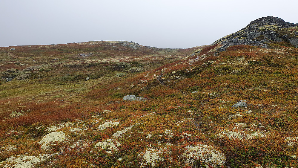 Denne vesle stien fulgte jeg et lite stykke oppover mot Bølhovd. Her er jeg på 1200 meters høyde.