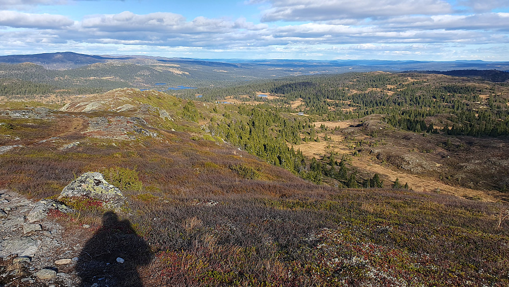 Vi er på ryggen som går nordøstover fra toppen av Vardefjell (1182). Til venstre ser vi den nedre delen av denne ryggen. Nystølen kan ses nokså sentralt i bildet.