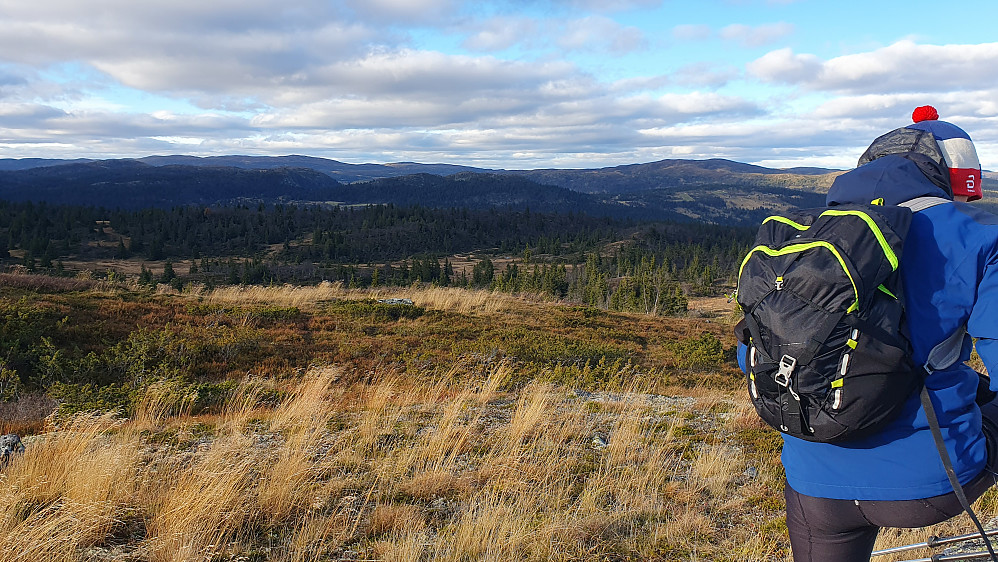 På Buhovdkollen (1065). Bildet tatt nordover. I bakgrunnen til høyre ses Rauddalsfjellet (1205).