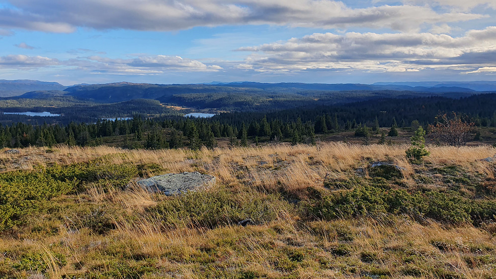 Utsikt sørover fra Buhovdkollen (1065).