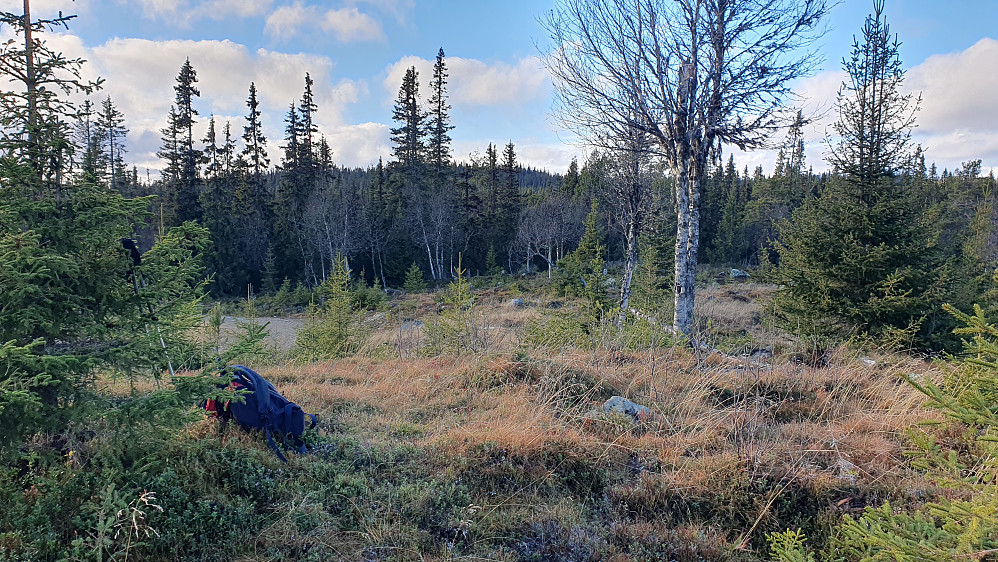 På toppen Øst for Liaåsen (915). Grusveien som snur bare 20 meter fra toppunktet, ses til venstre.