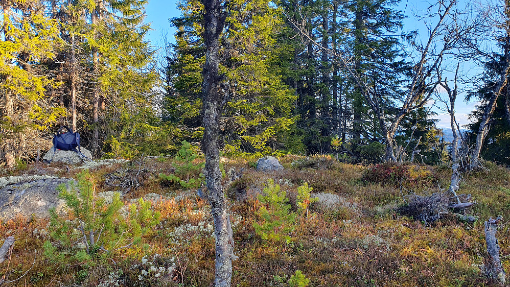På toppen av Flatdalsåsen Nordøst (985).