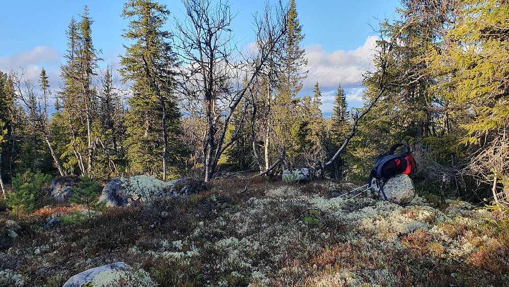På toppen av Flatdalsåsen Nordøst (985).