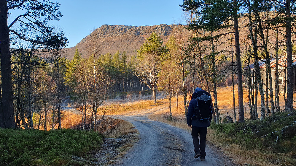 Nutenutan (1296) sett fra grusveien ved Nuten. Her forlot vi straks grusveien, og fortsatte videre på sti.