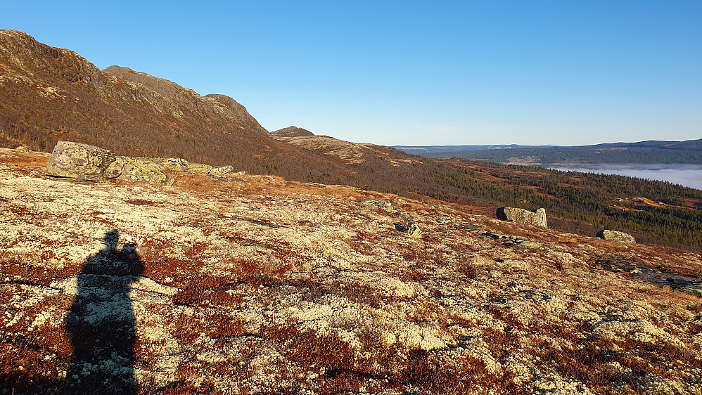 Vi er på stien øst for Nutenutan (1296). Oppe til venstre ses Nutenutan-ryggen. Toppen lengre bak litt til venstre for midten av bildet, er Sveinsnuten (1157).