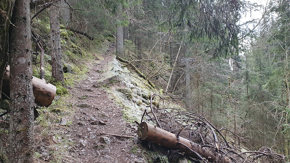 Stien som skrår oppover fra Styggedalen, like ovenfor Styggedalsputtene.