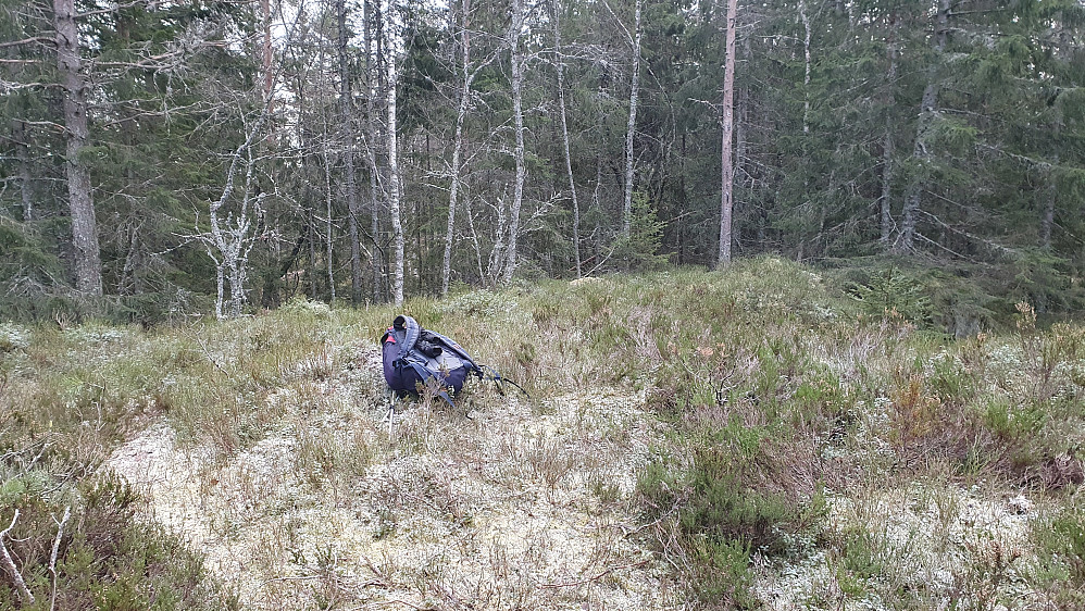 På toppen av Fugleleiken (390). Etappen herfra og bort til Grytlihøgda Nord (395) gikk jeg nesten bare i terrenget. Underveis krysset jeg stien jeg senere skulle følge opp mot Granberget (441).