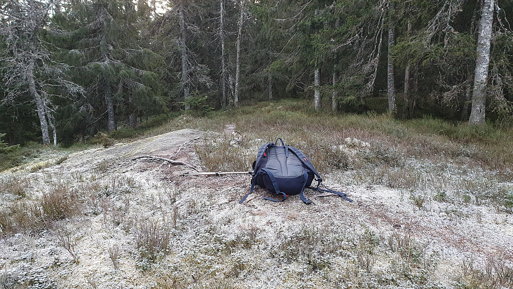 På toppen av Granberget (441). Ikke mye utsikt her, men det var en liten sti hit, som gikk over toppen. Denne stien er ikke inntegnet på topografisk norgeskart, men kan ses på OpenStreetMap.