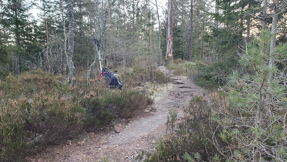 På Barlindåsen (407) gikk det tydelig sti temmelig rett over toppunktet. Denne stien er heller ikke tegnet inn på topografisk norgeskart, men er å finne på OpenStreetMap.