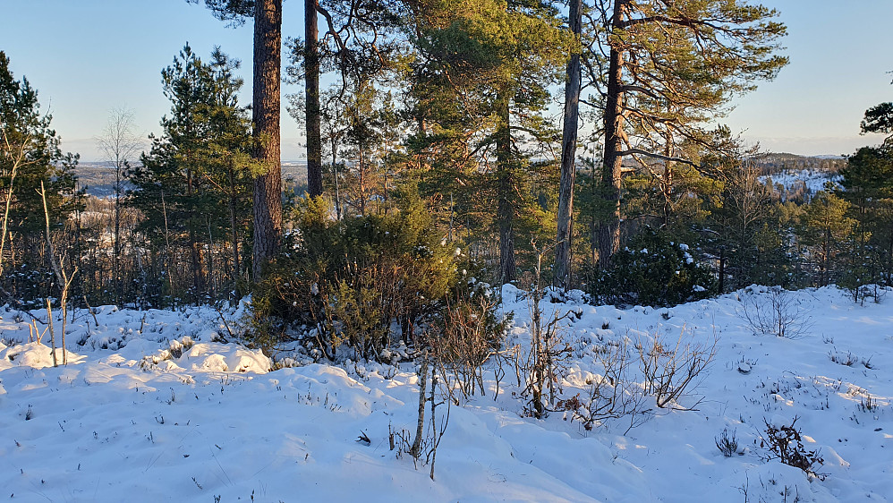 Små gløtt av utsikt i østlig retning fra toppen av Storhaug (225).