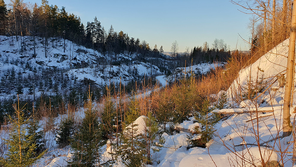 Under nedstigningen fra Storhaug (225). Nedenfor er den snødekte grusveien jeg fulgte fra parkeringen. Bildet er tatt nordover, i den retningen jeg nå skulle følge veien.
