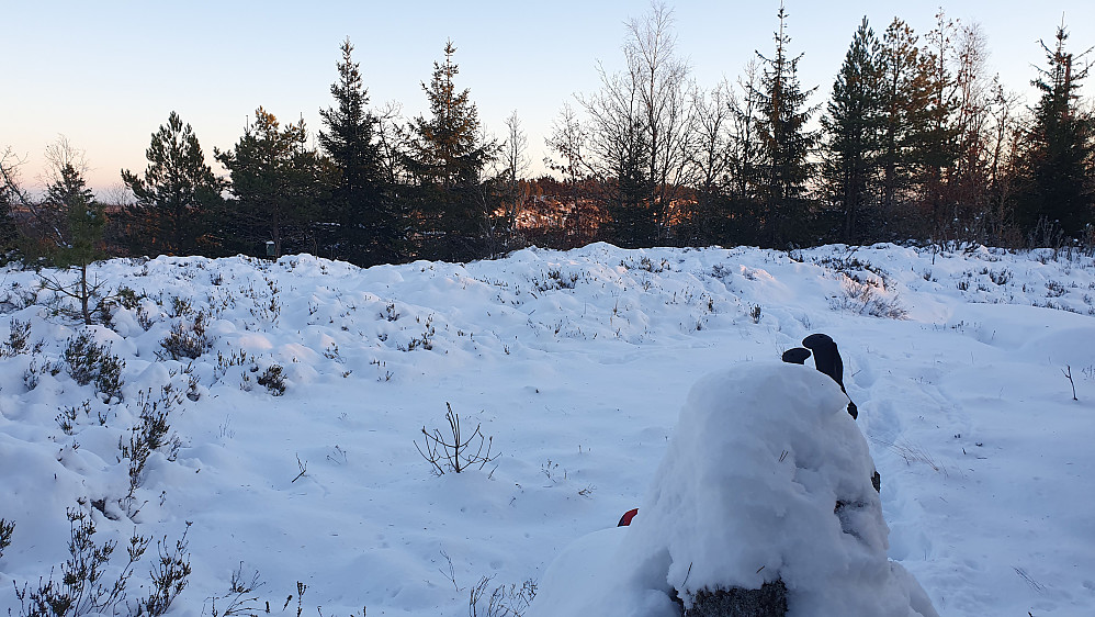 På toppen av Råsås (209). Åsen som ses bak trærne midt i bildet, er Storhaug (225).