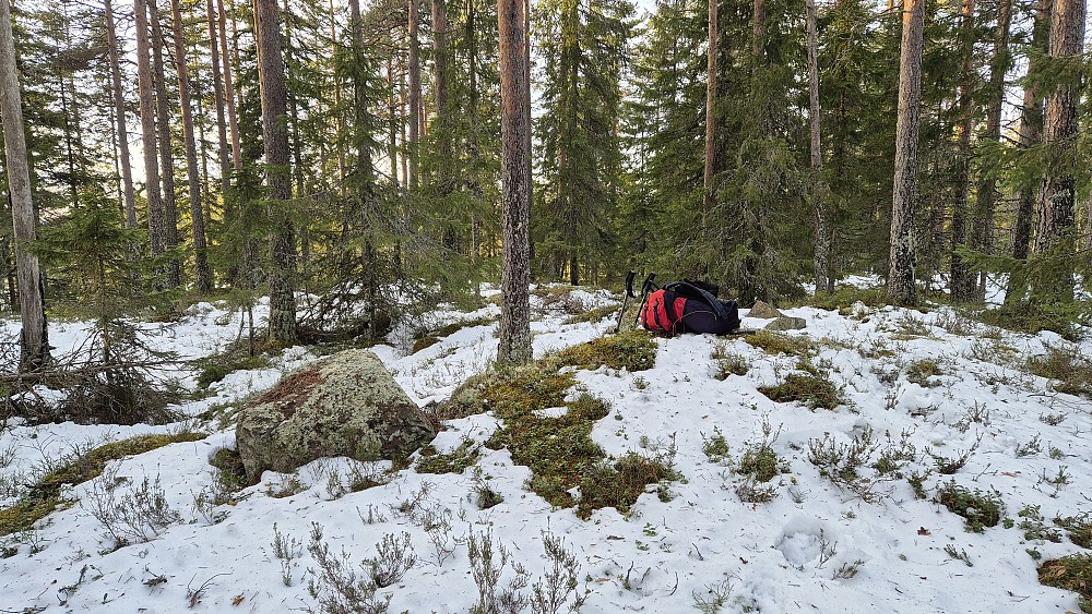 På Lønndalshøgda Sør (390.9 moh), som kun er ca 10 cm lavere enn høyeste punkt på Lønndalshøgda. Betydelig mildere her oppe, og mye av snøen hadde smeltet.