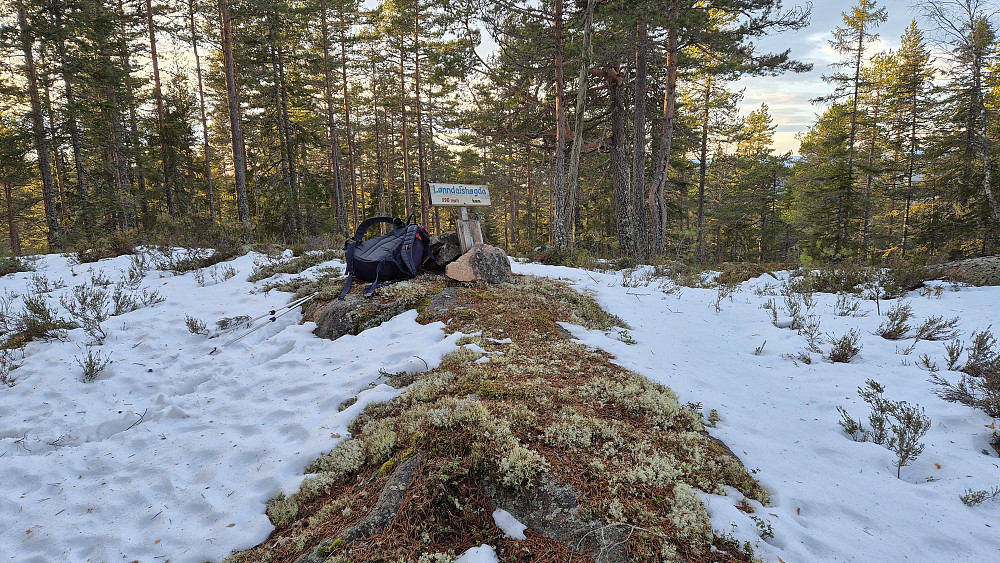 På toppen av Lønndalshøgda (391) ble det ganske så trivelig med solstråler mellom trærne og vårlig temperatur. En deilig påminnelse om den herlige årstiden som nærmer seg.