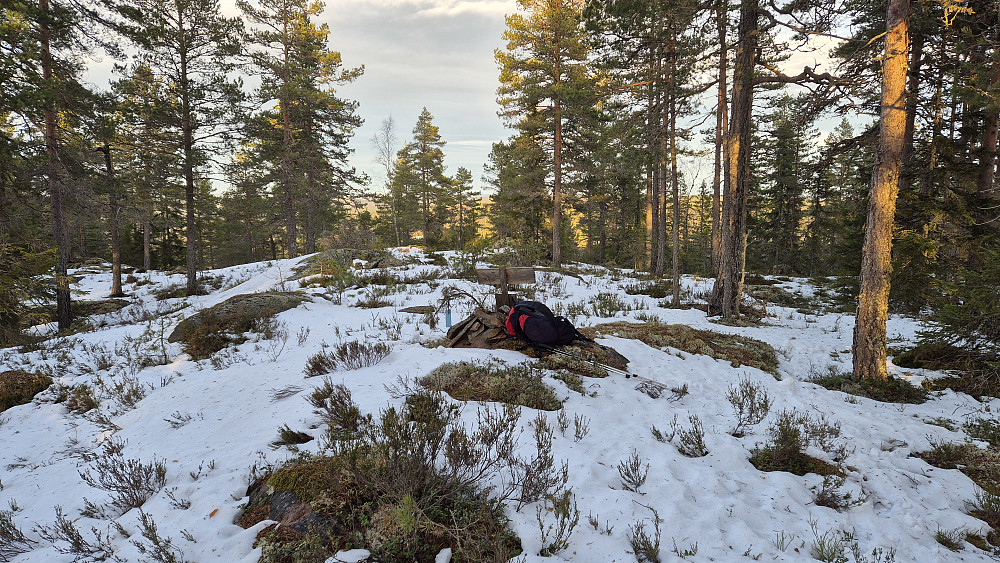 Langt mindre snø på toppen av Lønndalshøgda (391) enn lengre nede. Her oppe føltes vinden neste varm.