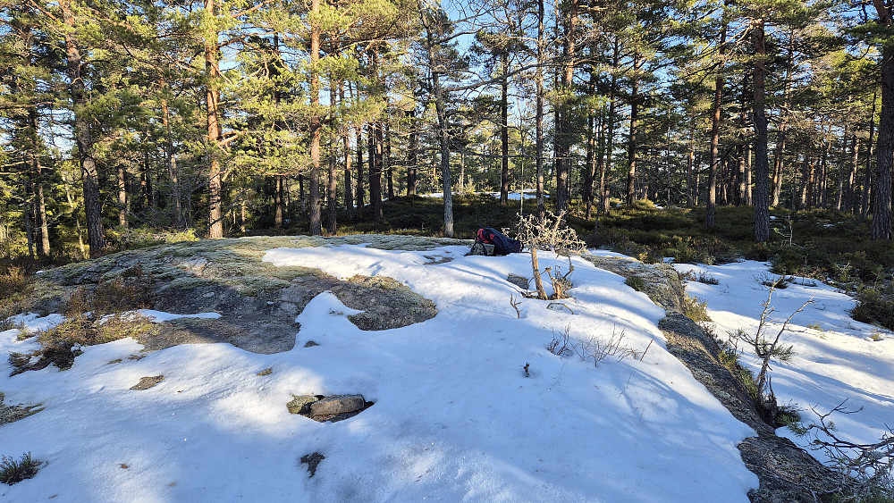 På toppen av Plassheia (142).