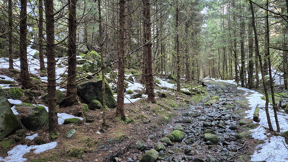 I Halleheia, like sørøst for Middagsåsen. Her forlot jeg den steinete kjerreveien og gikk opp i bratt og ulendt terreng til venstre.