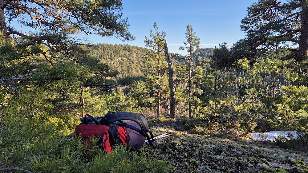 På toppen av Kleggestallåsen (128). Bildet tatt mot sørøst.
