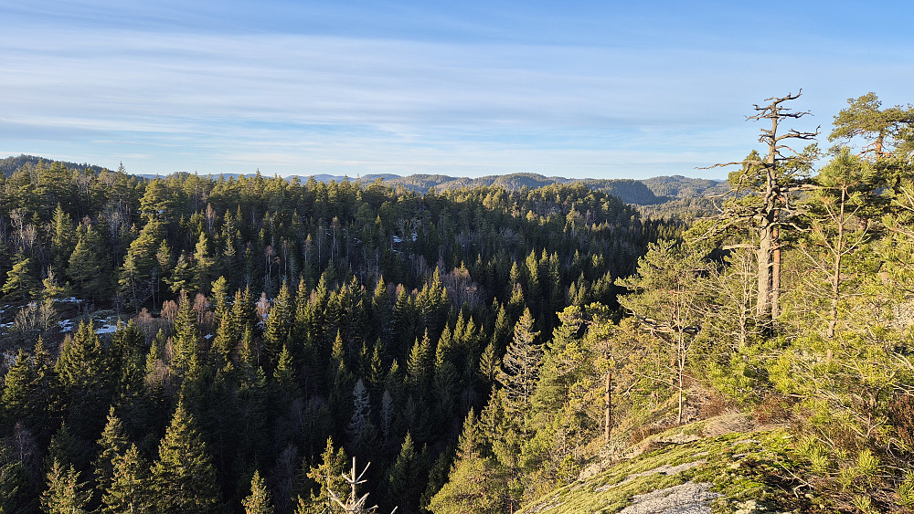 30 meter vest/sørvest for toppen av Thorsjøåsen (139) var det god utsikt. Bildet tatt mot nordvest.