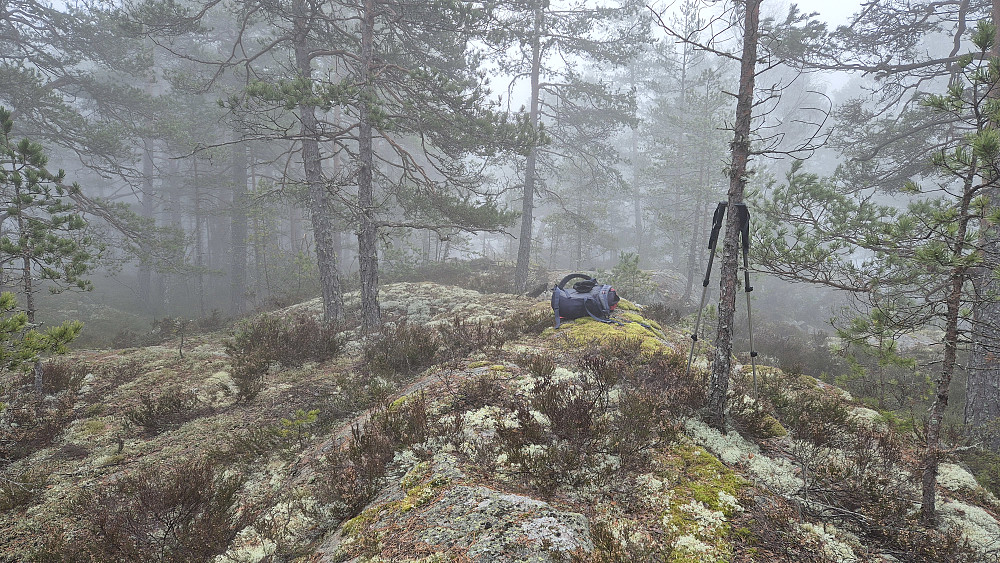 På toppen av Storåsen (211).