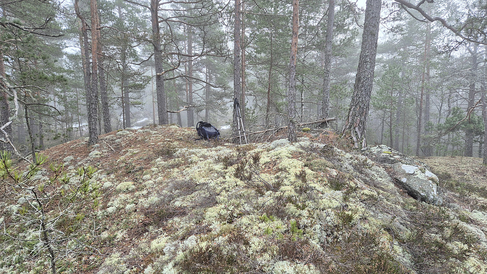 På toppen av Dalsåsen (141). En enkel ås å rusle over.