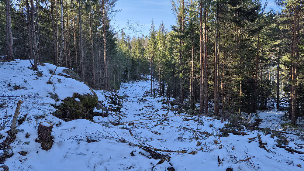 Den nylig anlagte traktorveien jeg fulgte ned mot myra Harekjerr. Dette var den mest vinterlige plassen på hele turen.