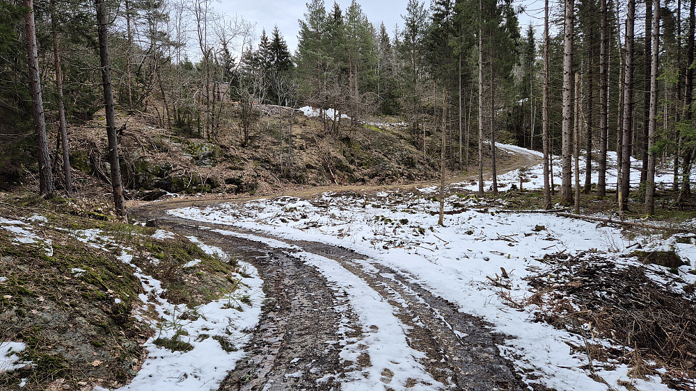 Skogsbilveien var fin å følge i starten, men noe sølete. Fra bakketoppen etter den borteste svingen til høyre ble veien gradvis mer utydelig.