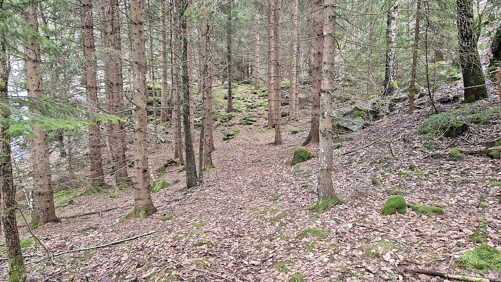 Stien som kommer opp Ramsdalen fra nord var fin å følge. Her er jeg like nordøst for Sandknuten (143).