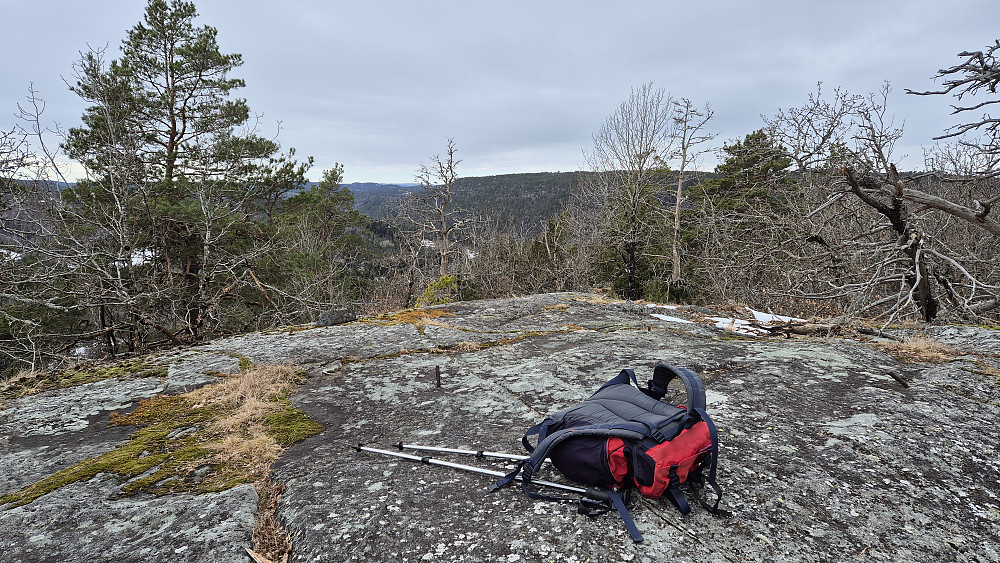 Toppunktet på Bytekollen (142). Bildet tatt vestover.