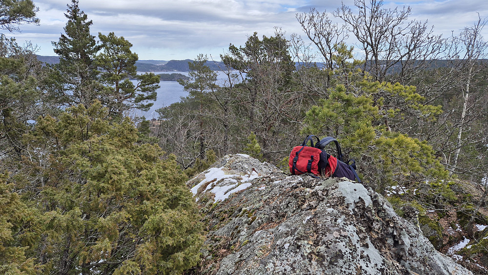 På toppen av Sandknuten (143). Bildet tatt mot Kragerø, som er bak trærne i midten.
