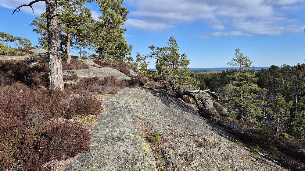 Turens fineste utsikt fikk jeg fra noen svaberg like sør for høyeste punkt. Havet ses i bakgrunnen til høyre.