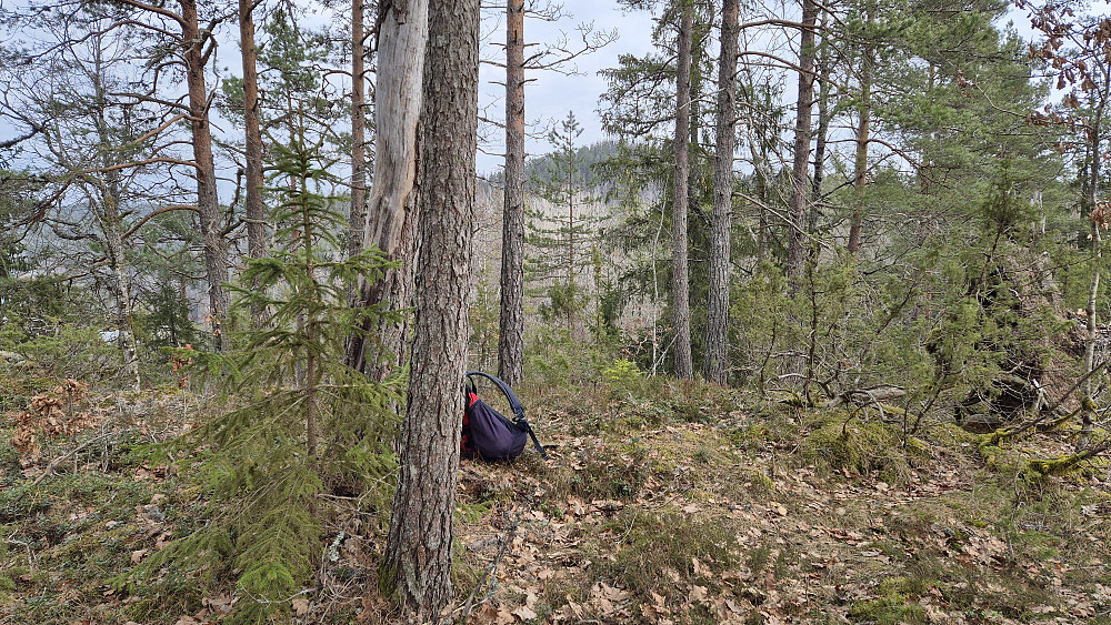 På toppen av høyden Øst for Sløkebukta (138). Fra denne toppen gikk jeg først noen meter i terrenget, innen jeg kom inn på en traktorvei som førte meg ned mot Dalene.