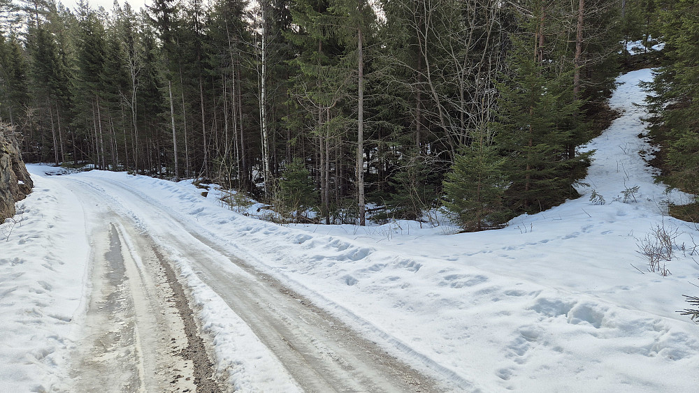 Stien mot Grimås (261) tar av til høyre her. Veien jeg hadde fulgt hit forsvinner innover til venstre. I dette søkket lå det igjen mye snø, men mesteparten av ruta videre mot Grimås var barmark. Sporene i snøen til høyre der stien starter, tilhører sannsynligvis Otto Lund, som var her 4 dager før meg.