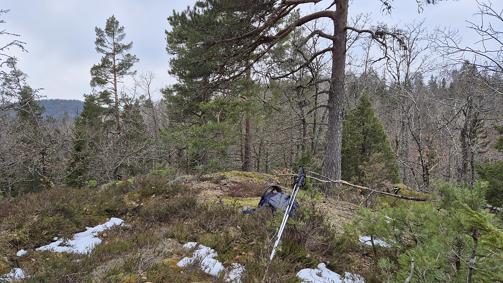 På toppen av Ånås Sørøst (209). I bakgrunnen helt til venstre ses Grimås (261).