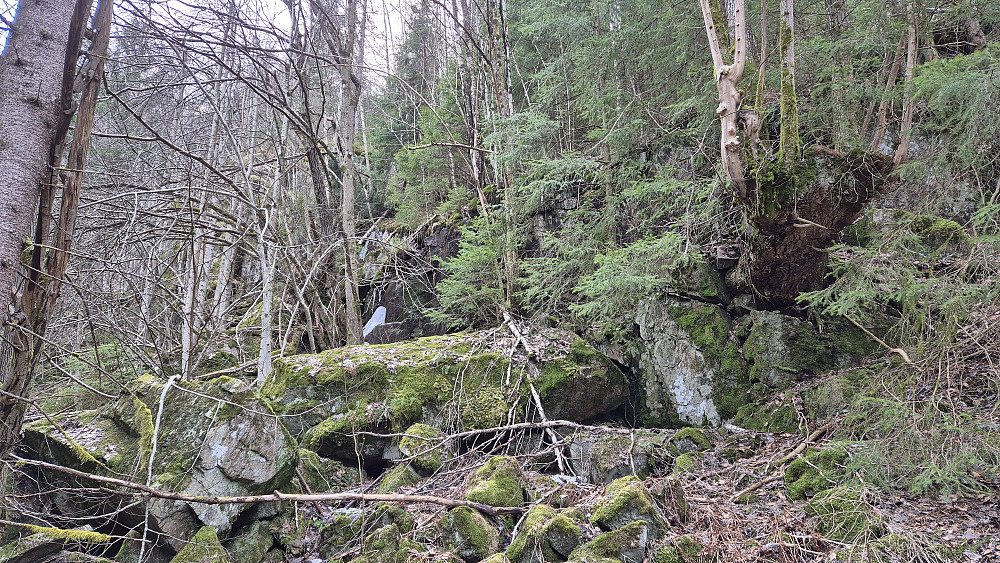 Det krevende partiet under nedstigningen fra Ånås Sørøst (209). Dette er på ca 125 meters høyde. Her ser jeg tilbake etter å ha kavet meg fram blant mosegrodde og glatte steiner, og trær og buskas som sperret så godt de kunne der det ikke var små stup og skrenter. Et meget kaotisk terreng å ta seg fram i.