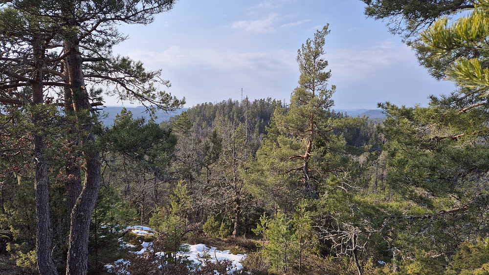 Gløtt av utsikt fra Nonsås (218). Her ser vi over til Hestås (224), hvor en høyspentlinje går over toppområdet.