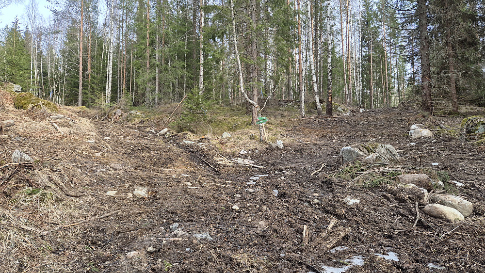 Stier gjort om til gjørmete veier etter skogsmaskiner ... Her deler "stien" seg. Turskiltene midt i bildet sier Lønnsåsen til høyre, og Knappåsen til venstre.