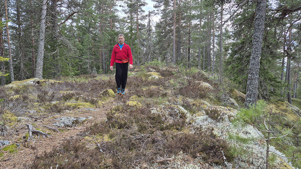 På stien like ved toppen av Lønnsåsen (352).
