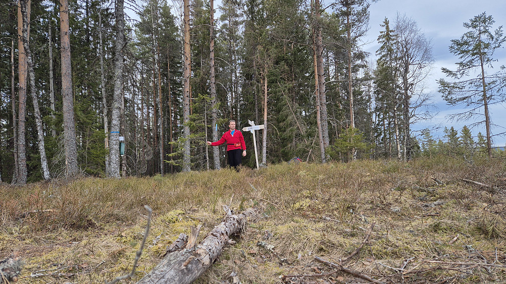 På toppen av Knappåsen (339). Denne høyden kalles også for Heshøgda.